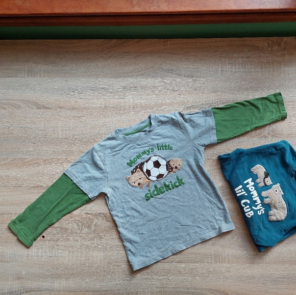Gymboree 5T bear / hedgehog tees - Picture 13 of 16